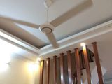 Phân Lô Ngõ Hòa Bình, Đống Đa Ngõ Rộng, Kinh Doanh Online