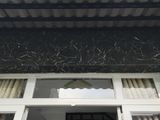 Bán Nhà Hxh 49 Phạm Hữu Lầu, Diện Tích 3.2X5M, 1 Trệt, 1 Lầu, 2 PN, 2 WC. Tặng Nội Thất. Giá 1.2 Tỷ .