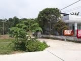 159M2, Đường Bê Tông 5,5M Gần Ngã Tư Đèn Xanh Đèn Đỏ Hương Lam, Hòa Khương, 465 Triệu, Đất Nở Hậu