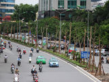 Bán Mảnh Đất Thổ Cư Mặt Phố Xã Đàn Vị Trí Trung Tâm , Diện Tích 100M2 Giá ( 260Triệu/m2)