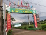Đất Mặt Tiền Đường 125M2 Giá 180 Triệu Mua Bán Nhanh Gọn Trong Ngày