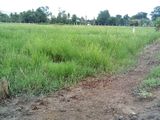 Bán Mảnh Đất Tại Huyện Bến Lức Tỉnh Long An