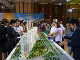 900 Triệu/120M2 Đất Cầu Xáng, Bình Chánh, Sổ Hồng Riêng
