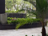Chính Chủ Bán Chung Cư Cao Cấp Hàn Quốc View Công Viên, Chỉ 1,36 Tỷ 0866975028
