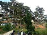 Đất Xây Dựng_View Đẹp,giá Rẻ_Tại Phường 3_Tp Đà Lạt