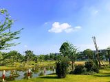 Bán Liền kề Nam 32 View Công Viên, Giá Hấp Dẫn. LH 0961461594
