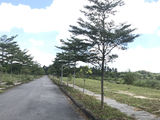 Bán Đất Nền Khu Du Lịch Giang Điền Có Lô Góc Đối Diện Công Viên Thanh Toán Chỉ Từ 450 Triệu Lh: 0188 665 9486