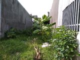Chính Chủ Cần Bán Đất Phú Hòa, Kdc Phú Hòa 2