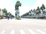 Tôi Cần Bán Ngay Dãy Trọ 4 Phòng 1 Kiot, Ở Khu Đô Thị Mới Bình Dương