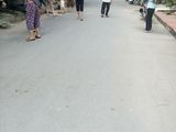 Bán Đất Cực Đẹp Thạch Bàn Long Biên 35M2 Chỉ 1,15 Tỷ .