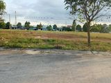 Cần Tiền Bán Gấp Đất 328M2 Thổ cư - Sổ hồng riêng - Đường Bê Tông Giá Rẻ