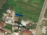 Bán 2 Lô Đất Thổ Cư 100M2 Hẻm xe hơi Đường Đào Sư Tích - Giá 26 Triệu/m2