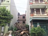 Bán Ô Đất Vựng Đâng B19 - 15 Hướng Đông Bắc