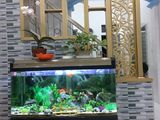 Của Hiếm! Bán Nhà Kim Giang, Hoàng Mai 38M2, 5 Tầng, 2.6 Tỷ