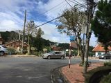 Bán Nhà, Đất Mặt Tiền Đường Lê Hồng Phong, P4, Đà Lạt
