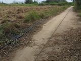 Bán Lô Đất Mặt Tiền Giáp Phú Mỹ Hưng 5.5Triệu/M2 Dt Từ 1000M2 Alo Ngay 0945896446 Em Yến