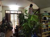 Kinh Doanh Độc Đắc, Ô Tô Đỗ Cửa, Hoàng Mai 45M2 - 4.5M Mặt Tiền - Chỉ 4 Tỷ