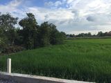 Còn 10 Lô Đất Nền Bưng Ông Thoàn Quận 9