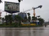 Tecco Camelia Complex Tinh Hoa Đất Thái