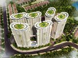 Tecco Camelia Complex Tinh Hoa Đất Thái