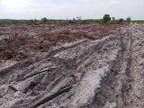 Sản Phẩm Độc Nhất Đất Ven Biển Lagi Mà Giá Chỉ Có 580 Triệu - 1000M2.