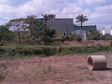 Đất Bình Dương 560Tr/nền, 1200M2.