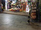 Bán Nhà Mặt Tiền Kinh Doanh Buôn Bán Thủ Dầu 1