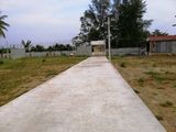 Lý Do Bạn Nên Đầu Tư Vào Dự Án Potential Của Nhà Đầt Lâm Nghĩa