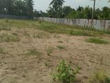 Lý Do Bạn Nên Đầu Tư Vào Dự Án Potential Của Nhà Đầt Lâm Nghĩa