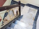 Bán Nhà Đẹp Nguyễn Văn Cừ, Phân Lô, Ô Tô, 5 Tầng, Giá 5.2 Tỷ. 0967635789