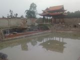 Đất Chính Chủ Bên Hông Suối Tiên Q.9