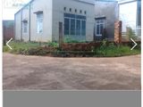 Tết Đến Gia Đình Cân Bán Nhà Chơi Tết
