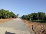 Đất Mặt Tiền Đường Mỹ Xuân, Bà Rịa - Vũng Tàu, 500M2 Giá Chỉ 340 Triệu, Sổ Đỏ Sang Tên Ngay Lập Tức
