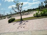 Đất Thổ Cư Sổ Đỏ Mặt Tiền QL50 Thị Trấn Cần Giuộc Giá Rẻ Nhất Vùng.