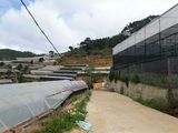 Bán Đất Vườn Thôn Đa Quý, Xã Xuân Thọ, Đà Lạt 6403M V3536