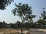 Bán Đất Dự Án Gần Khu Công nghiệp Trảng Nhật