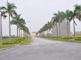 Bán Dự Án Đất Nền Phố Nối, Hưng Yên Chỉ 760 Triệu - 102M2