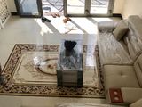 Bán Nhà Hẻm xe hơi Gò Ô Môi. Tặng Nội Thất. Diện tích 4X15M. 1 Trệt, 2 Lầu, sân thương. Giá 6.5 Tỷ.