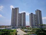 Dự Án Vision Cho Thuê Căn Hộ Giá 4~7 Triệu/Tháng - Lh: 0941 848 908