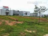 Cần Tiền Chữa Bệnh Cho Con, Chị 8 Có 499M2 Ngay Quốc Lộ 50, Bán Rẻ