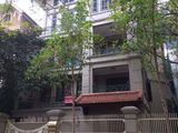 Cho Thuê Biệt Thự Sân Vườn Diện Tích 200X5 Tầng, Giá 3000 Usd Khu Nguyễn Thị Định