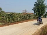 Bán Lô Đất Đường Tân Lạc Đinh Lạc Di Linh (Dt 2515M)200M2 Đất Ở