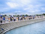 Cần Bán Gấp Đất Nền Thổ Cư – Tây Nam Center Golden Land