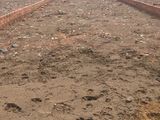 Đất Nền Giá Rẻ Khu Cá Sấu Hoa Cà, Phạm Văn Đồng