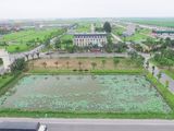 Cần Bán Gấp Đất Nền New City Phố Nối. Lh: 0868217845.