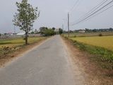 Bán Đất Trồng Cây Lâu Năm Mặt Tiền 669 Xã Phước Thạnh Củ Chi, Diện Tích 3900M2 Giá 4 Tỷ