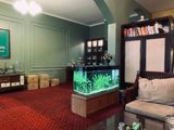 Cần Nhà Kinh Doanh Hãy Đến Với Nhà Mặt Tiền 8M X 55M2 Ở Phường Mai Dịch Cầu Giấy Hà Nội