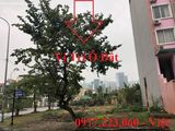 Bán Lô Góc A5-17 Khu Đô Thị Cột 5,P.Hồng Hà.Diện Tích:128.6M2,MT:8.5M.