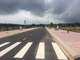 Bán Đất Ngay Khu Công Nghiệp Long Đức, Sổ Hồng Riêng, Đường Nhựa 8M, Giá Bán 520 Triệu. LH 091 113 1944