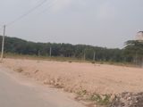 Cần Bán Đất Thổ Cư Phú Mỹ 190M2 - 10 Triệu/m2 Thích Hợp Xây Nhà Trọ